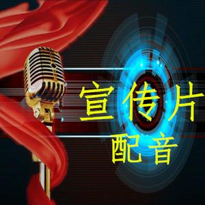 黑龍江企業(yè)宣傳公司總結(jié)企業(yè)宣傳片制作配音細節(jié)要求