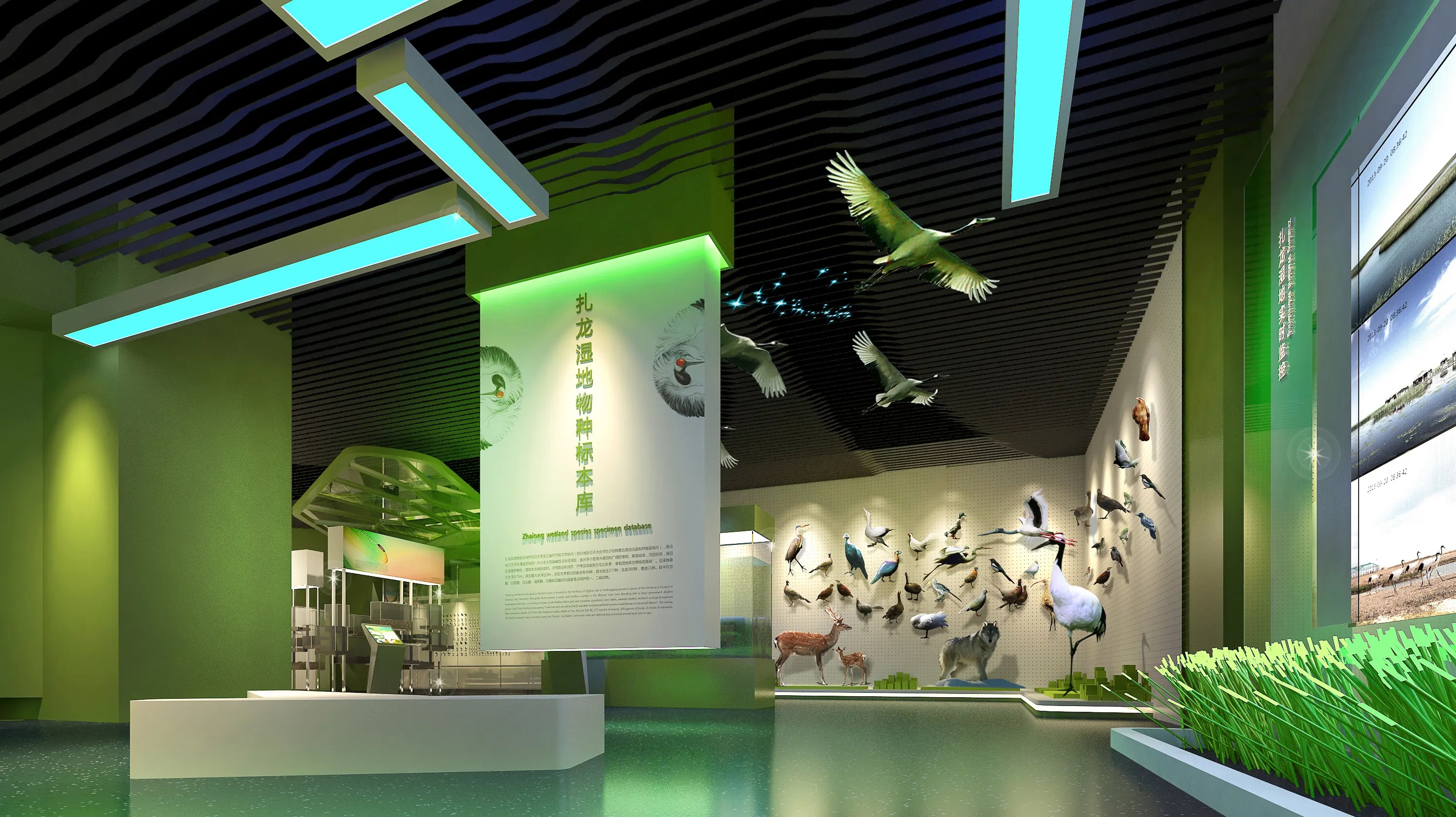 展館設(shè)計(jì) ，展館 ，鑫時(shí)空